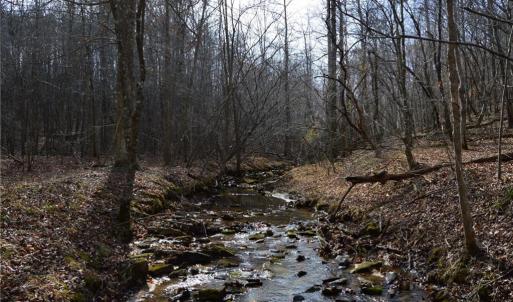 Photo #42 of 1284-1516 Tom Mix, Westfield, NC 95.0 acres