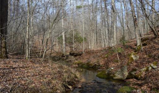 Photo #43 of 1284-1516 Tom Mix, Westfield, NC 95.0 acres