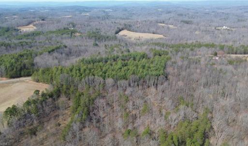 Photo #7 of 1284-1516 Tom Mix, Westfield, NC 95.0 acres