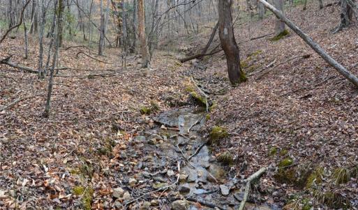 Photo #36 of 1284-1516 Tom Mix, Westfield, NC 95.0 acres