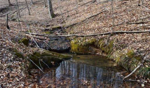 Photo #28 of 1284-1516 Tom Mix, Westfield, NC 95.0 acres