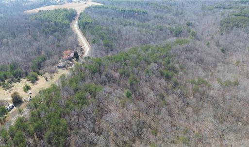 Photo #5 of 1284-1516 Tom Mix, Westfield, NC 95.0 acres