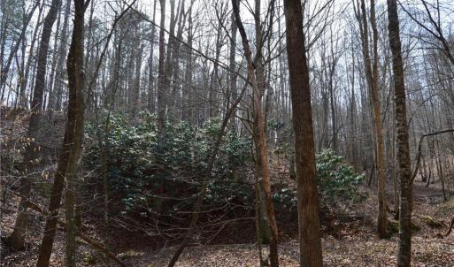 Photo #24 of 1284-1516 Tom Mix, Westfield, NC 95.0 acres