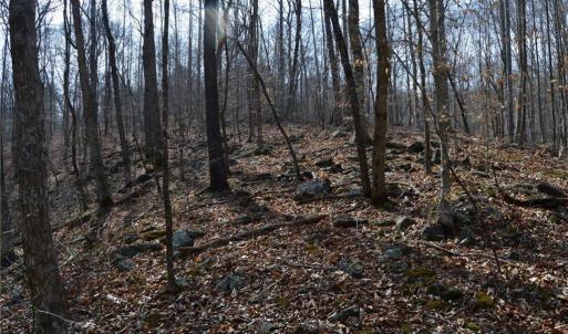 Photo #30 of 1284-1516 Tom Mix, Westfield, NC 95.0 acres