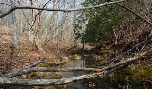 Photo #38 of 1284-1516 Tom Mix, Westfield, NC 95.0 acres