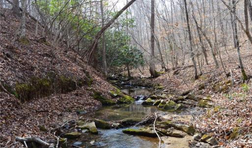 Photo #41 of 1284-1516 Tom Mix, Westfield, NC 95.0 acres