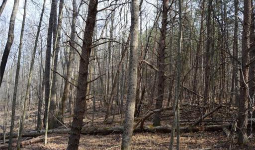 Photo #45 of 1284-1516 Tom Mix, Westfield, NC 95.0 acres