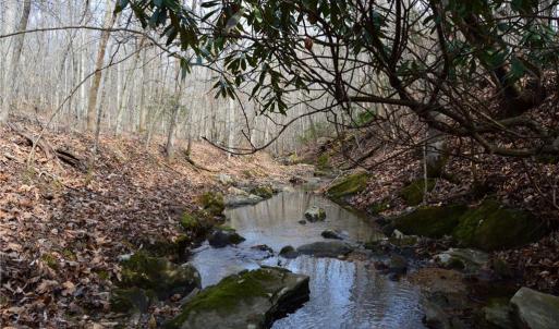 Photo #40 of 1284-1516 Tom Mix, Westfield, NC 95.0 acres