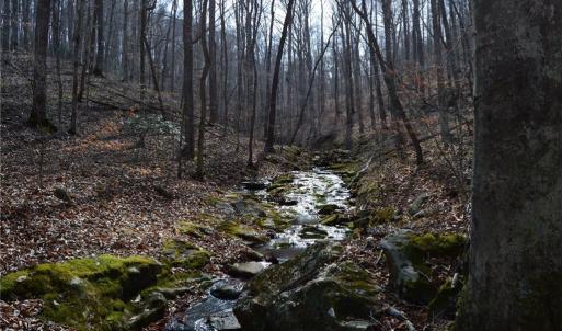 Photo #29 of 1284-1516 Tom Mix, Westfield, NC 95.0 acres
