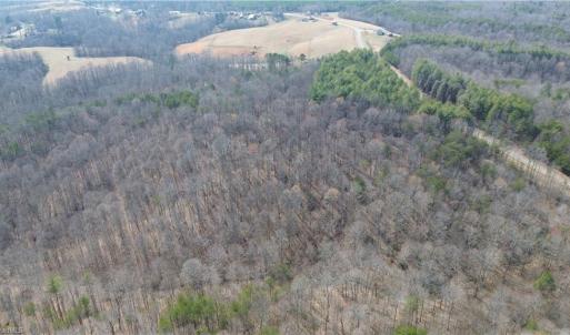 Photo #8 of 1284-1516 Tom Mix, Westfield, NC 95.0 acres