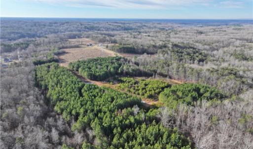 Photo #2 of 7975 Evans Farm, Tobaccoville, NC 29.1 acres