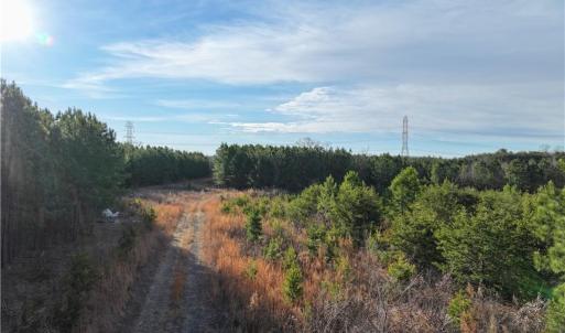 Photo #12 of 7975 Evans Farm, Tobaccoville, NC 29.1 acres