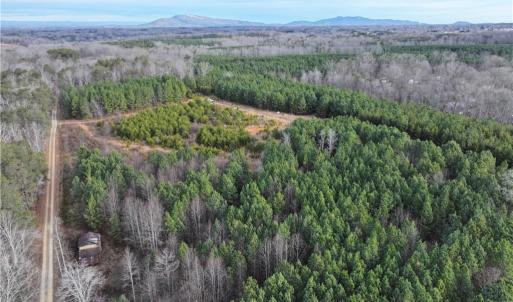 Photo #3 of 7975 Evans Farm, Tobaccoville, NC 29.1 acres