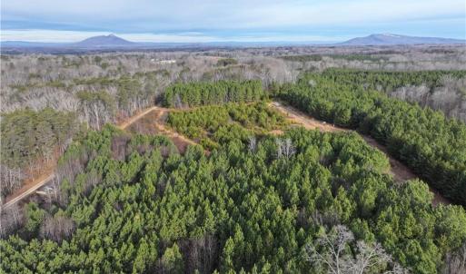 Photo #1 of 7975 Evans Farm, Tobaccoville, NC 29.1 acres