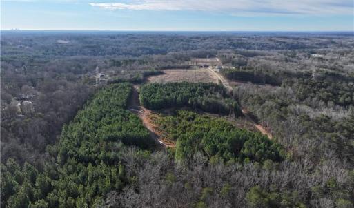 Photo #10 of 7975 Evans Farm, Tobaccoville, NC 29.1 acres