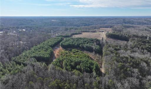 Photo #11 of 7975 Evans Farm, Tobaccoville, NC 29.1 acres