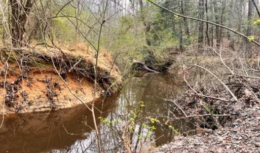 Photo #3 of 5591 Mount Lebanon, Asheboro, NC 12.7 acres