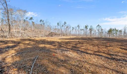 home site mostly cleared