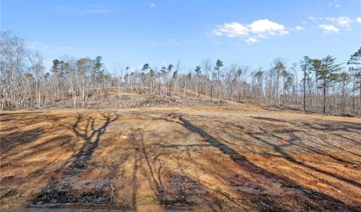 Winter - homes site mostly cleared