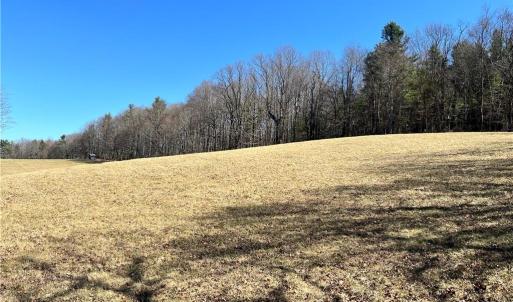 Photo #16 of TBD Fireside, Laurel Fork, VA 21.0 acres