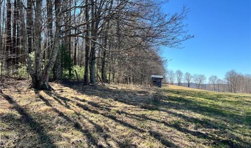 Photo #36 of TBD Fireside, Laurel Fork, VA 21.0 acres