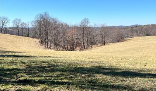 Photo #28 of TBD Fireside, Laurel Fork, VA 21.0 acres