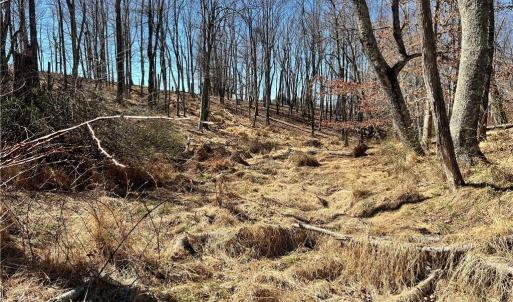 Photo #9 of TBD Fireside, Laurel Fork, VA 21.0 acres