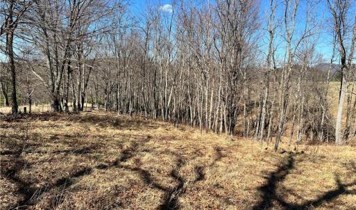 Photo #19 of TBD Fireside, Laurel Fork, VA 21.0 acres