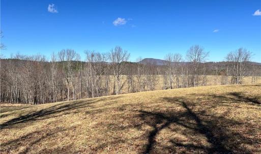 Photo #23 of TBD Fireside, Laurel Fork, VA 21.0 acres