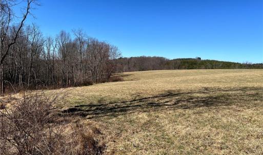 Photo #6 of TBD Fireside, Laurel Fork, VA 21.0 acres