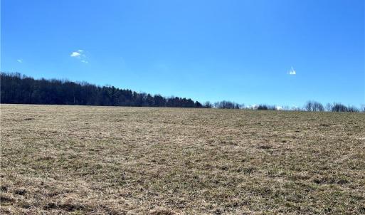 Photo #42 of TBD Fireside, Laurel Fork, VA 21.0 acres