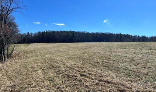 Photo #43 of TBD Fireside, Laurel Fork, VA 21.0 acres