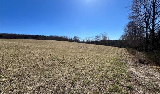 Photo #5 of TBD Fireside, Laurel Fork, VA 21.0 acres