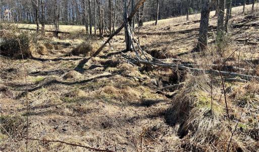 Photo #10 of TBD Fireside, Laurel Fork, VA 21.0 acres