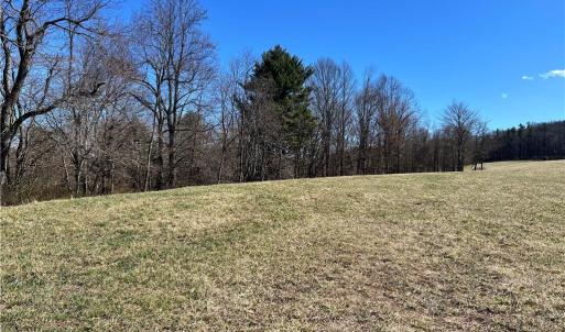 Photo #45 of TBD Fireside, Laurel Fork, VA 21.0 acres