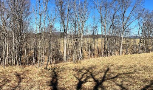 Photo #18 of TBD Fireside, Laurel Fork, VA 21.0 acres