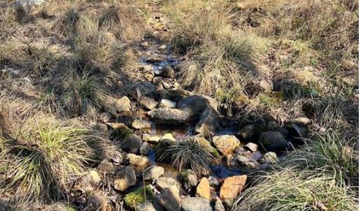 Photo #11 of TBD Fireside, Laurel Fork, VA 21.0 acres