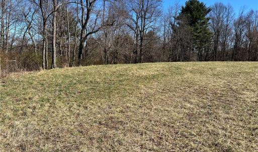 Photo #44 of TBD Fireside, Laurel Fork, VA 21.0 acres