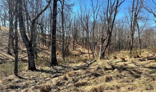 Photo #8 of TBD Fireside, Laurel Fork, VA 21.0 acres