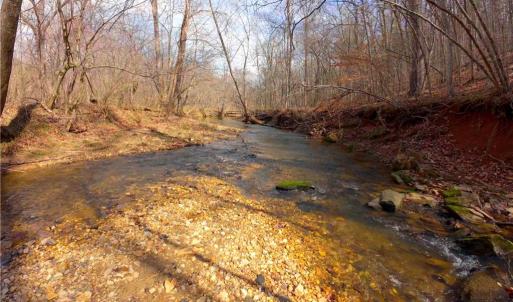 Photo #13 of 3341 NC Highway 66, Westfield, NC 16.2 acres