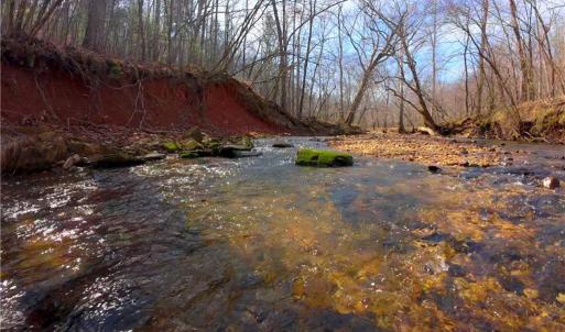 Photo #14 of 3341 NC Highway 66, Westfield, NC 16.2 acres