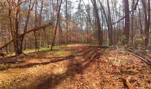 Photo #11 of 3341 NC Highway 66, Westfield, NC 16.2 acres