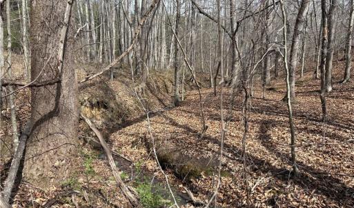 Photo #23 of Doll Branch, Milton, NC 64.7 acres