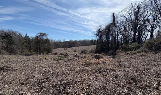 Photo #13 of Doll Branch, Milton, NC 64.7 acres