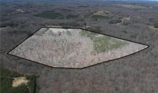 Photo #3 of Doll Branch, Milton, NC 64.7 acres