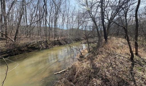 Photo #28 of Doll Branch, Milton, NC 64.7 acres