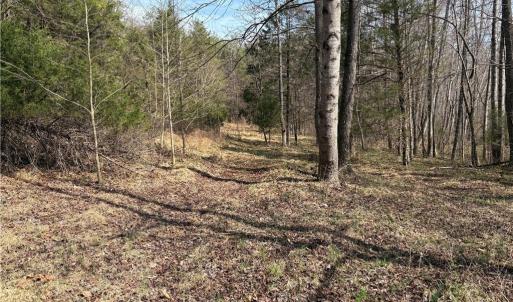 Photo #24 of Doll Branch, Milton, NC 64.7 acres