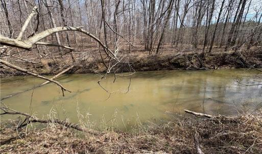 Photo #30 of Doll Branch, Milton, NC 64.7 acres
