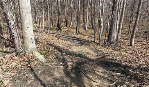 Photo #14 of Doll Branch, Milton, NC 64.7 acres