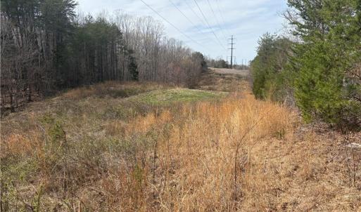 Photo #35 of Doll Branch, Milton, NC 64.7 acres